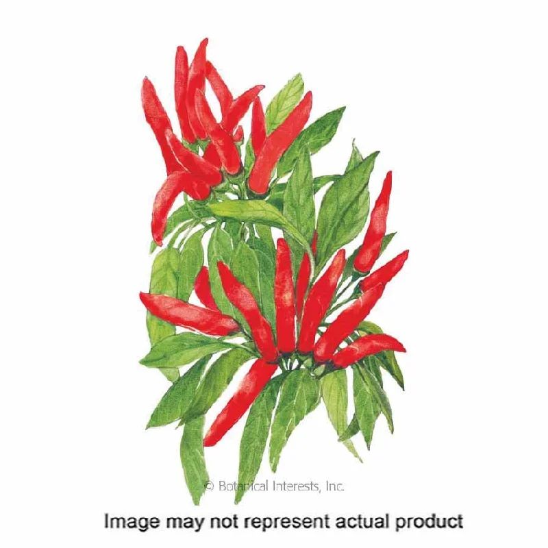 Vegetable Seed