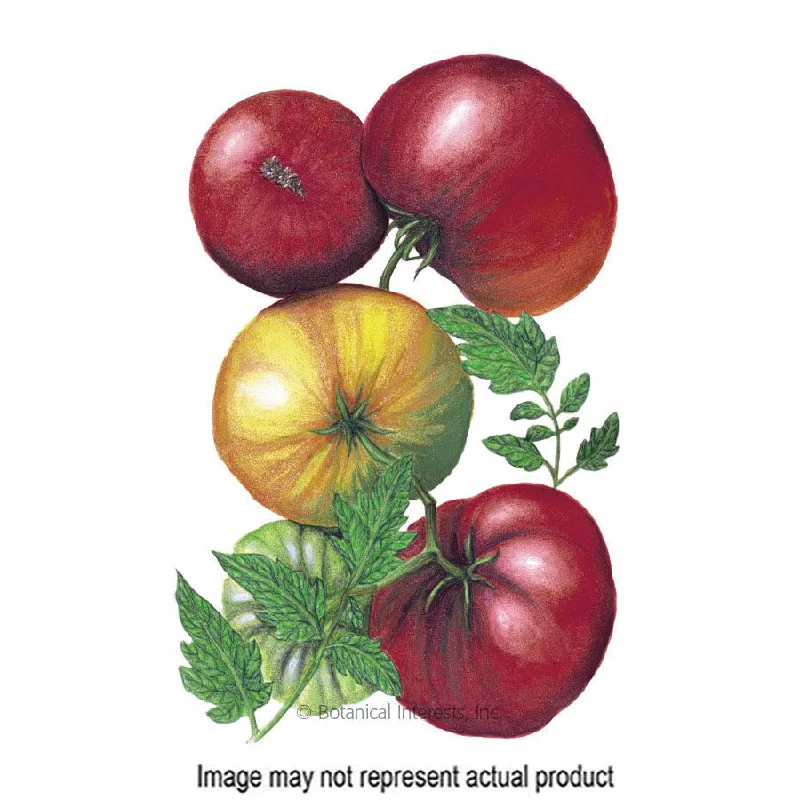 Vegetable Seed